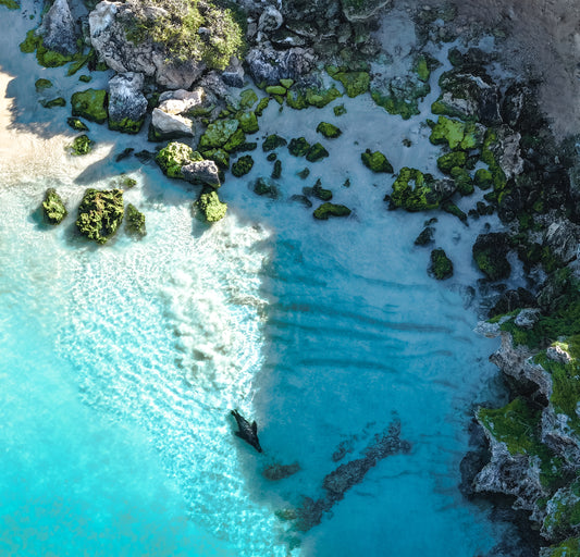 Seal Island